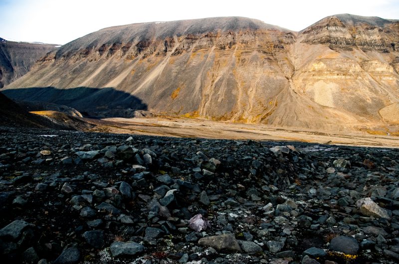 50 ciekawostek o Svalbardzie