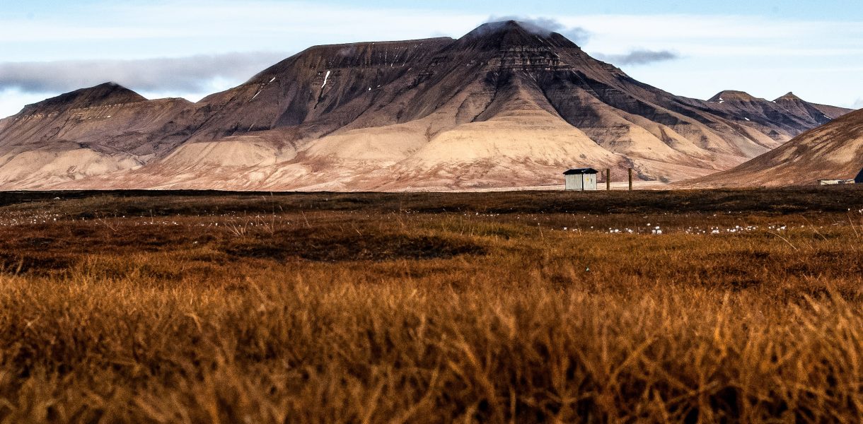 Przyroda Svalbardu
