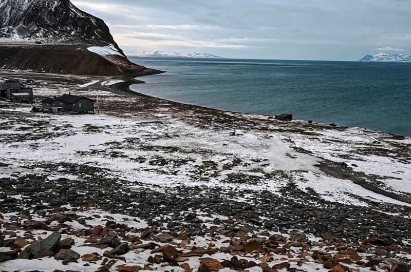 Morsowanie na Svalbardzie