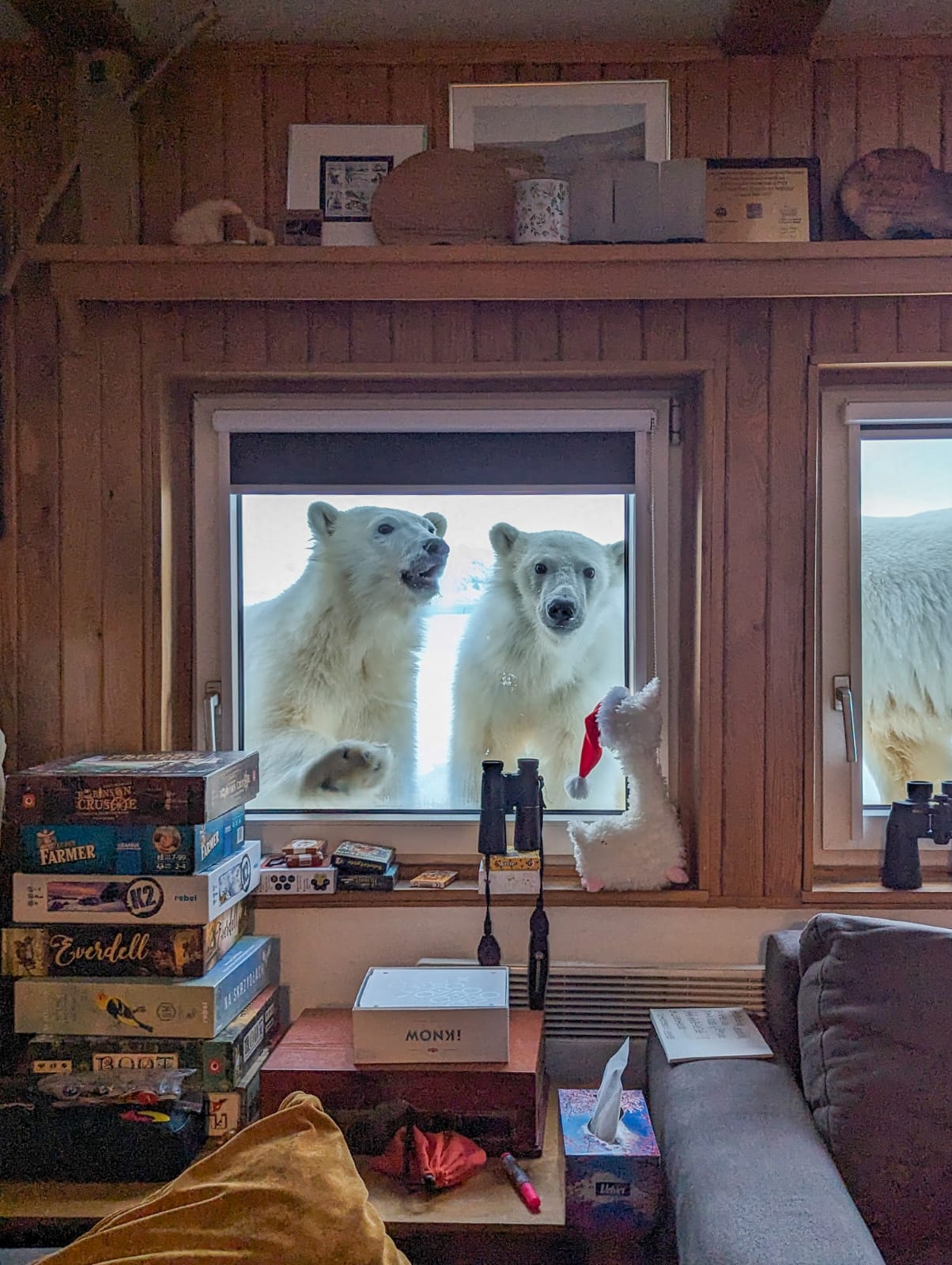 Wizyta niedźwiedzi w Hornsundzie